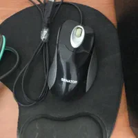 موس سالم