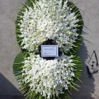 راحیل مجموعه پخش تاج سراسر شهر مطابق تصویر وظرافت|خدمات پذیرایی، مراسم|تهران, آهنگ|دیوار