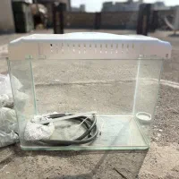 آکواریوم ماهی