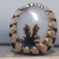 انگشتر،شجر،رکاب،اشکی