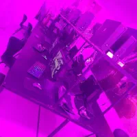 گیم نت الفا