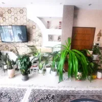 گل های آپارتمانی