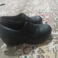 سه جفت کفش درحد نونو|کیف، کفش، کمربند|قوچان, |دیوار