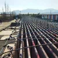 قالیشویی مهاجر