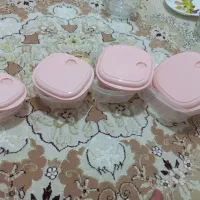ظروف نگهدارنده
