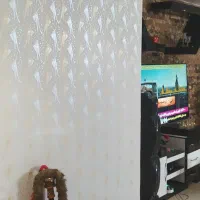 طرح کاغذدیواری|خدمات پیشه و مهارت|گرگان, |دیوار