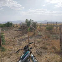 فروش باغ به متراژ ۹۰۰متر در روستای هیبت اللّه|فروش دفتر صنعتی، کشاورزی، تجاری|سنقر, |دیوار