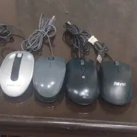 موس رویال