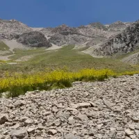 فروش ملک مسکونی و کارگاهی نوفرست