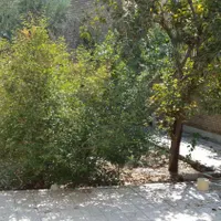 خانه دربست
