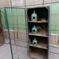 قفس آهنی جفت کنی