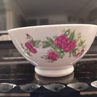 کاسه میوه خوری گل قرمزی