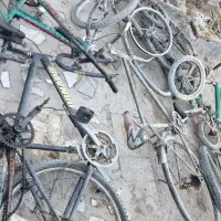 تعدادی دوچرخه|دوچرخه، اسکیت، اسکوتر|کرمان, |دیوار