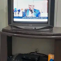 تلویزیون
