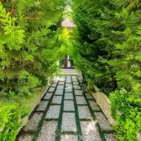 اجاره سالیانه باغ ویلا در قلب شهریار|اجارهٔ خانه و ویلا|شهریار, شهریار|دیوار