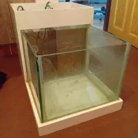 فیش اسپا رایگان