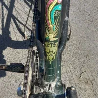 دوچرخه|دوچرخه، اسکیت، اسکوتر|سلماس, |دیوار