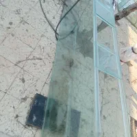 آکواریوم دو متری و شیشه خم|ماهی|کبودرآهنگ, |دیوار