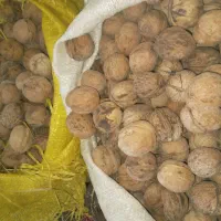 گردو|خوردنی و آشامیدنی|بروجرد, |دیوار