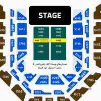 بلیط vip کنسرت استاد معین