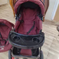 دلیجان|کالسکه و لوازم جانبی|تبریز, |دیوار