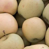 فروش سیب|عمدهفروشی|ایجرود, |دیوار