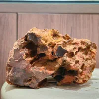 آکواریوم آماده|ماهی|ری, دولتآباد|دیوار