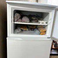 یخچال فریزر فیلور|یخچال و فریزر|فردیس, قریشی|دیوار