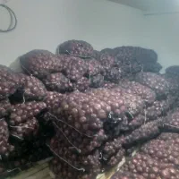 پیاز قرمز|عمدهفروشی|اشنویه, |دیوار