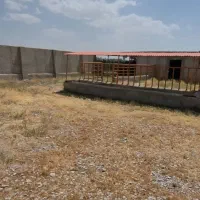 گاوداری ، اطراف ملکان .|فروش دفتر صنعتی، کشاورزی، تجاری|بکتاش, |دیوار