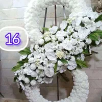 گل سرای نرگس