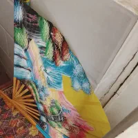 بادبزن وقفسه