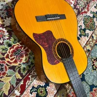 گیتار آلمانی ( هافنر )