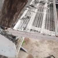 اتاق وانت بفروش می‌رسد