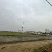 یک هکتار زمین سرمایه گذاری مناسب شهرکسازی|فروش زمین و ملک کلنگی|چمستان, |دیوار