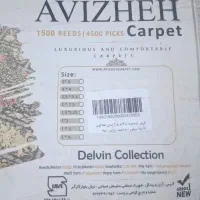فرش و پادری|فرش|رباط‌کریم, مسکن مهر آبشناسان|دیوار