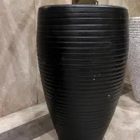 گیاه بابا آدم