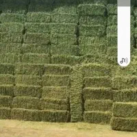 یونجه پرس خالص قیمت ۳۵ هزار