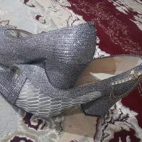 کفش مجلسی