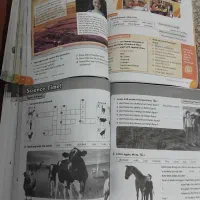 کتاب های زبان|کتاب و مجله آموزشی|ساوه, |دیوار