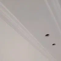 گچکاری و لکه گیری|خدمات پیشه و مهارت|بروجرد, |دیوار