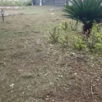 خدمات علف زنی و سمپاشی با دستگاه با قیمت مناسب|خدمات باغبانی و درختکاری|صومعهسرا, |دیوار