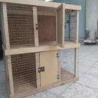 لونه عروس هلندی|لوازم جانبی حیوانات|بندرعباس, |دیوار