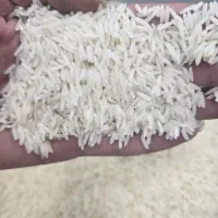 برنج طارم هاشمی