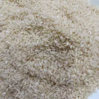 برنج درجه یک|خوردنی و آشامیدنی|شوشتر, |دیوار