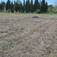 نیازمند به تراکتور برای شخمزنی زمین نهالستان نوشهر