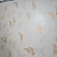 رنگ امیز|خدمات پیشه و مهارت|سوسنگرد, |دیوار