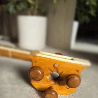 تار حرفه ای|سازهای سنتی|کاشمر, |دیوار