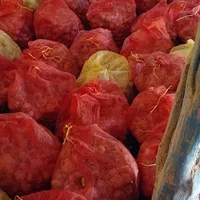 سیر فروشی درجه یک در تور    برای بذری|عمده‌فروشی|شادیان, |دیوار