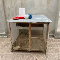 لانه مرغ و خروس و کبوتر